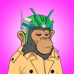 Seoul Ape #1123
