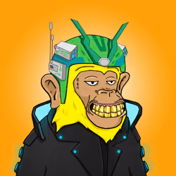 Seoul Ape #348