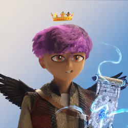 Wizard 899