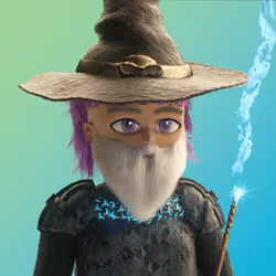 Wizard 285