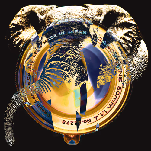 Item #44277705610717036995283552195885744109545541421661346678023815267481508904999 Media