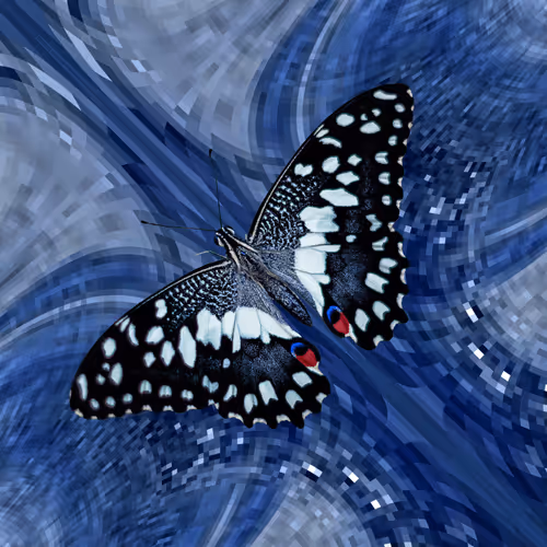 Item #44277705610717036995283552195885744109545541421661346678023815267481508904980 Media