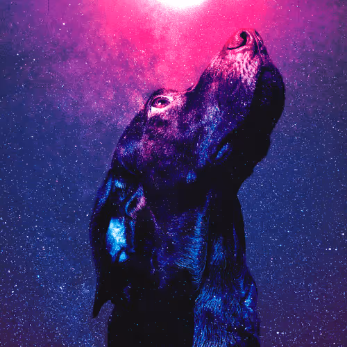 Item #44277705610717036995283552195885744109545541421661346678023815267481508904977 Media