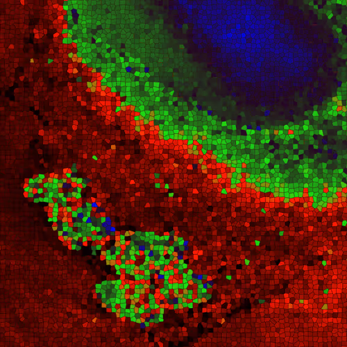 Item #44277705610717036995283552195885744109545541421661346678023815267481508904978 Media