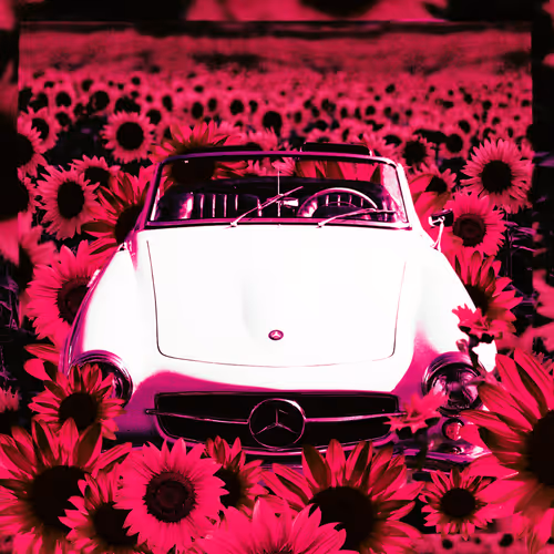 Item #44277705610717036995283552195885744109545541421661346678023815267481508904970 Media