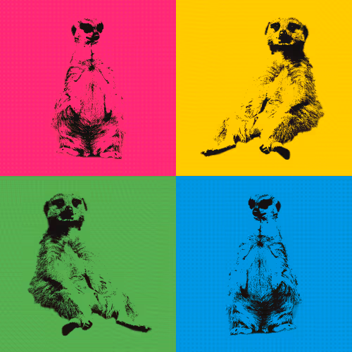 Item #44277705610717036995283552195885744109545541421661346678023815267481508904987 Media