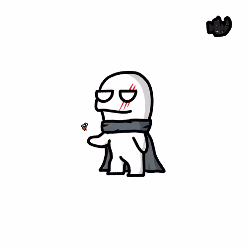 Zimmy Raiders