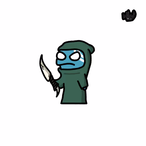 Zimmy Raiders
