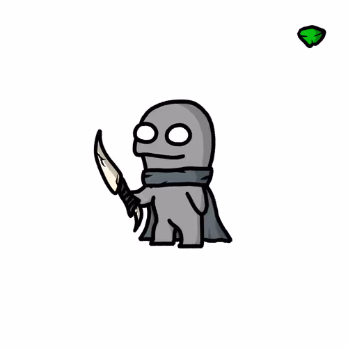 Zimmy Raiders