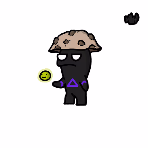 Zimmy Raiders