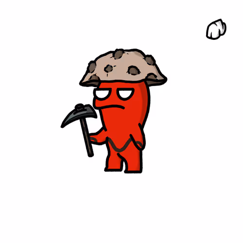 Zimmy Raiders