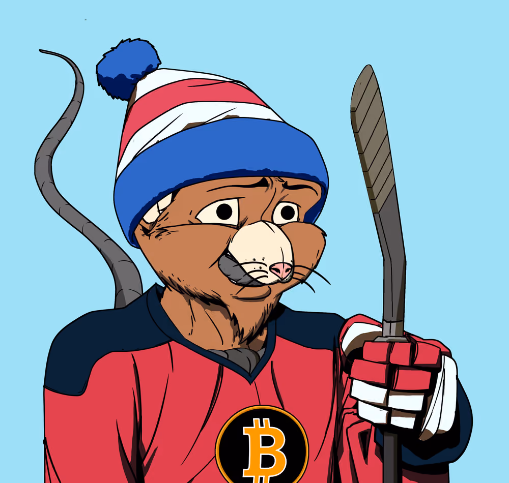 Rink Rat #7757