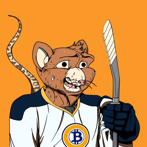 Rink Rat #1253
