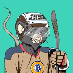 Rink Rat #1242