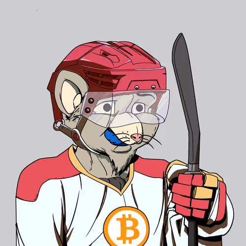 Rink Rat #49