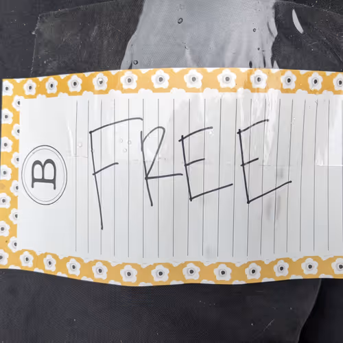 Free17 #4