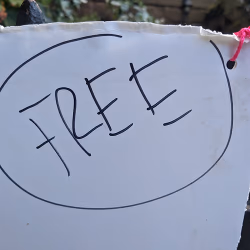 Free9 #8
