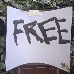 Free0 #3667