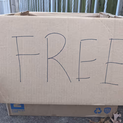 Free1 #213