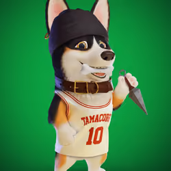Tamacorgi #186
