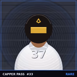 33
