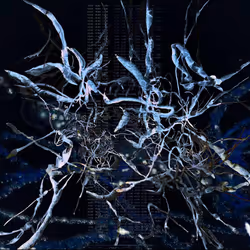 RECURSION 遞迴 6
