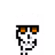 2029