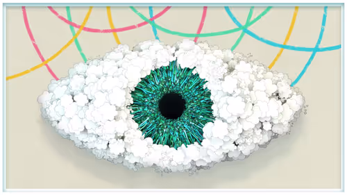 Item #125000500005 Media