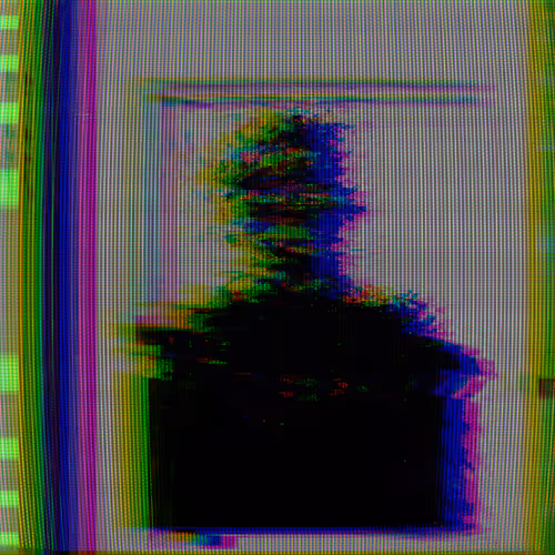 S H A D O W S