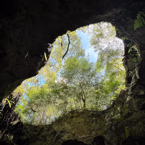 Gotoplanb Sinkholes