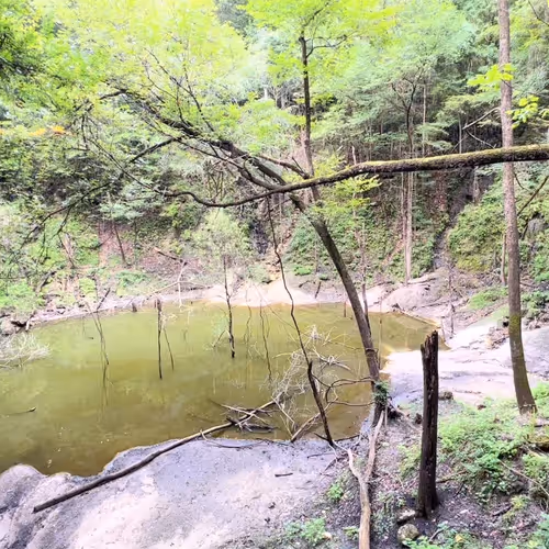 Gotoplanb Sinkholes
