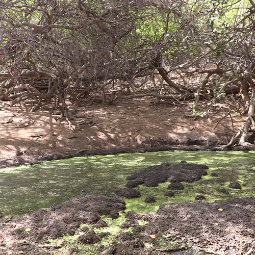Gotoplanb Sinkholes
