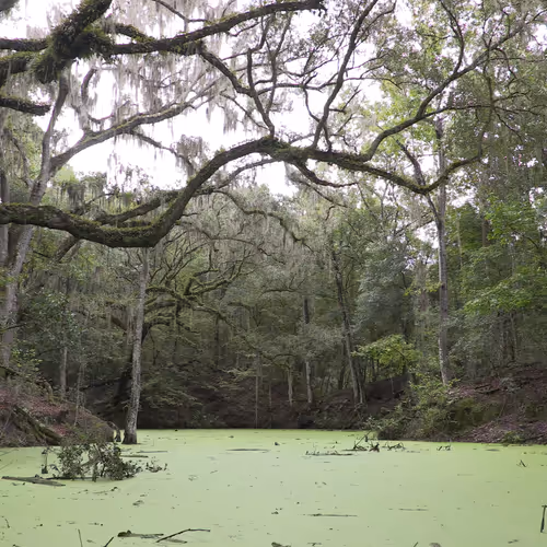 Gotoplanb Sinkholes