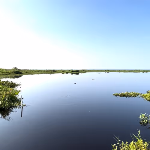 Gotoplanb Sinkholes