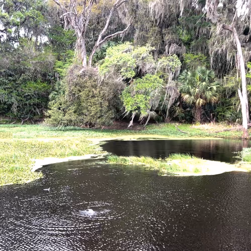 Gotoplanb Sinkholes