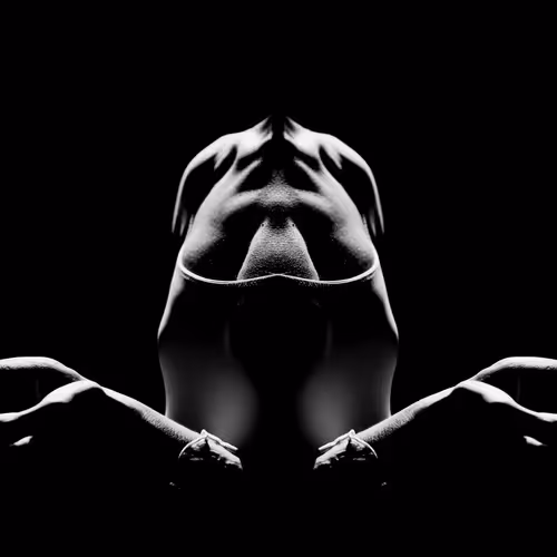 Black & White Contours