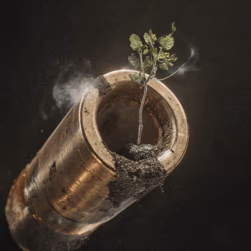 Materialized Ideas Genesis