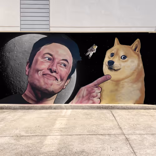 Lushsux
