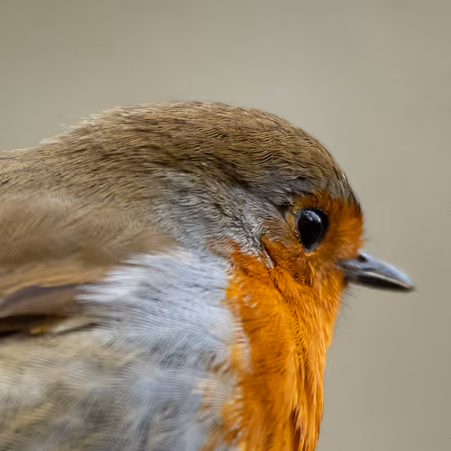 When loved ones are near