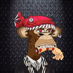 Official Baza #560