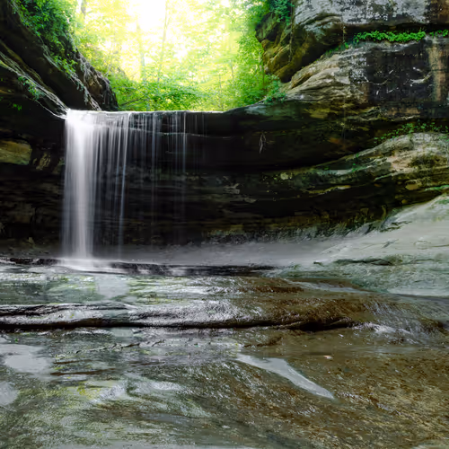 WolfAdventures - Editions