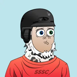 Shredding Sassy #1356