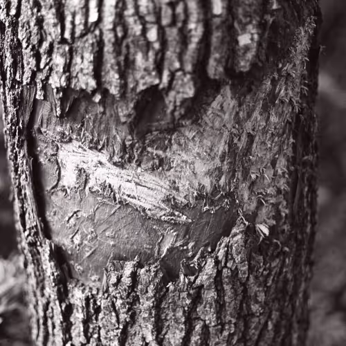 streetphotography.eth Editions - Blank Slate 11/15