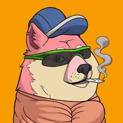 Slumdoge #9798