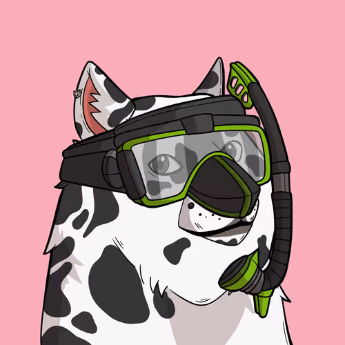 Slumdoge #831