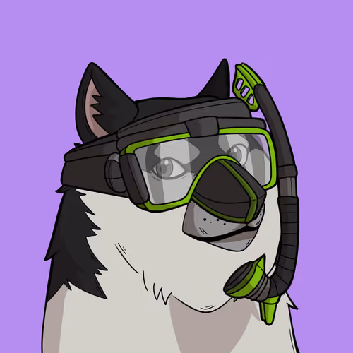 Slumdoge #3584