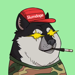 Slumdoge #3824