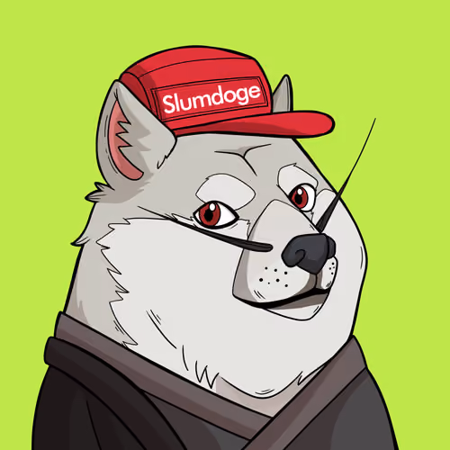 Slumdoge #6698