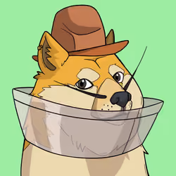 Slumdoge #1193