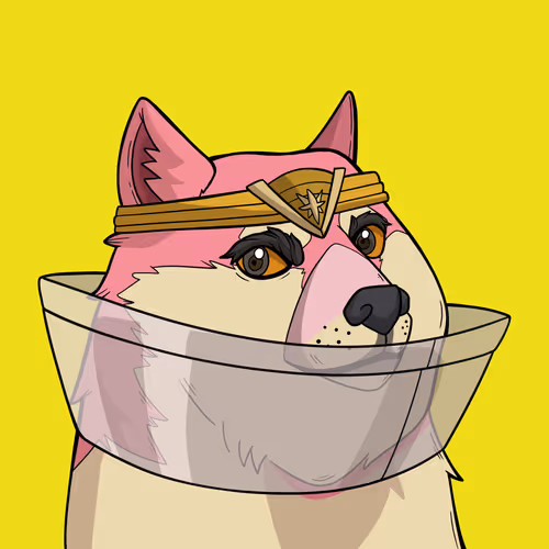 Slumdoge Billionaires